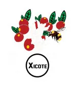 xicote